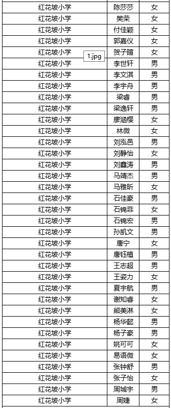 长沙稻田中学2019级录取名单及入学须知4