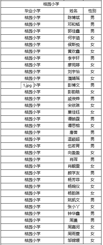 长沙稻田中学2019级录取名单及入学须知5