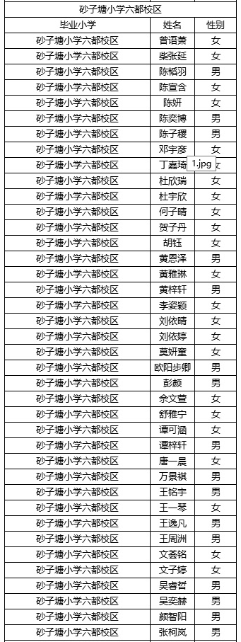 长沙稻田中学2019级录取名单及入学须知13